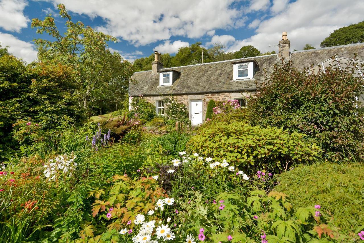 Wintergreen Pitlochry Dış mekan fotoğraf