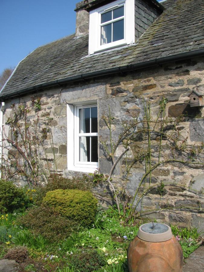Wintergreen Pitlochry Dış mekan fotoğraf